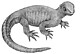 Rekonstruktion der Ur-Schildkröte Pappochelys rosinae. | Urhebervermerk/Copyright: Rainer Schoch