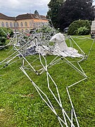 Schäden nach dem Sturm. Bild: Universität Hohenheim / Florian Klebs