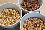 Weißer Weizen, roter Weizen und purpurner Weizen liefern verschiedenfarbige Brote. | Bildquelle: Universität Hohenheim / Hannah Moormann