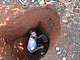 Prof. Dr. Christian Rabeling from the University of Hohenheim searching for fungus-growing ants in Brazil | Image source: Simone Cappellari Rabeling/private (AI extended)